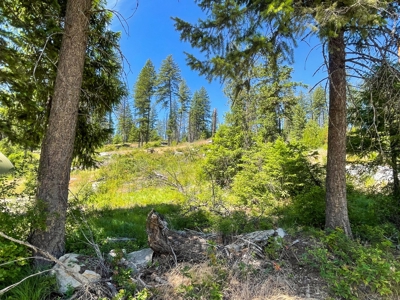 Diamond Lake Large Acreage Parcel in Newport, WA - image 19
