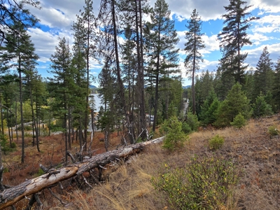 Diamond Lake Large Acreage Parcel in Newport, WA - image 5