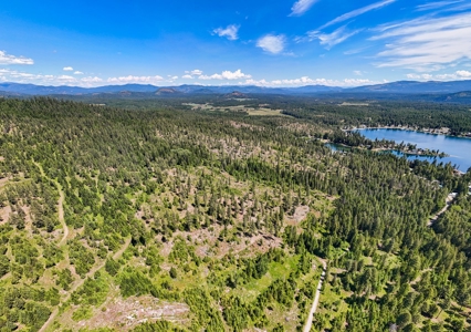 Diamond Lake Large Acreage Parcel in Newport, WA - image 12