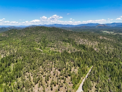 Diamond Lake Large Acreage Parcel in Newport, WA - image 11