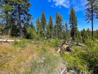 Diamond Lake Large Acreage Parcel in Newport, WA - image 22