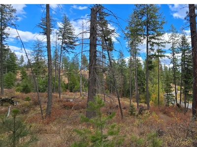 Diamond Lake Large Acreage Parcel in Newport, WA - image 6