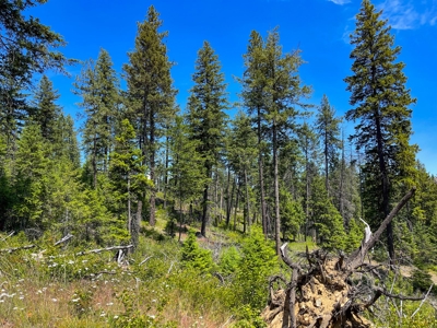 Diamond Lake Large Acreage Parcel in Newport, WA - image 23