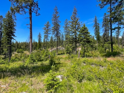 Diamond Lake Large Acreage Parcel in Newport, WA - image 26