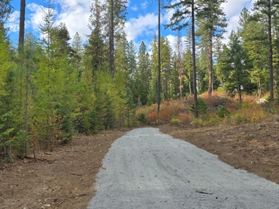 Diamond Lake Large Acreage Parcel in Newport, WA - image 2