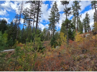 Diamond Lake Large Acreage Parcel in Newport, WA - image 3