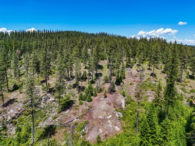 Diamond Lake Large Acreage Parcel in Newport, WA - image 17