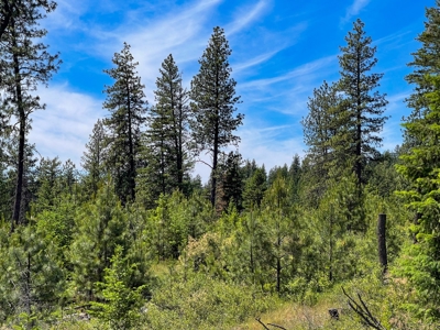 Diamond Lake Large Acreage Parcel in Newport, WA - image 25