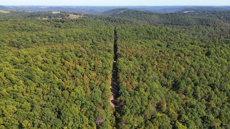 Ozark Mountains Land And Home For Sale In Arkansas - image 7