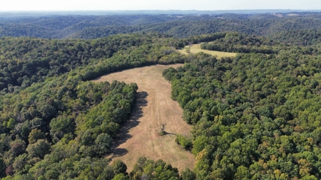 Ozark Mountains Land And Home For Sale In Arkansas - image 8