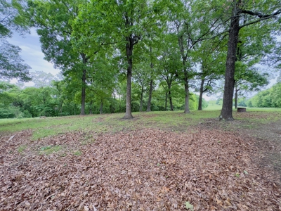 Ozark Mountains Land And Home For Sale In Arkansas - image 46