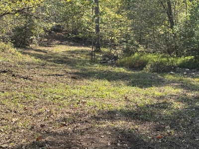 Ozark Mountains Land And Home For Sale In Arkansas - image 11