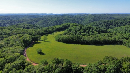 Ozark Mountains Land And Home For Sale In Arkansas - image 5