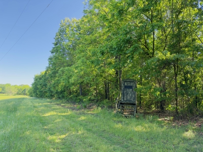 Ozark Mountains Land And Home For Sale In Arkansas - image 27