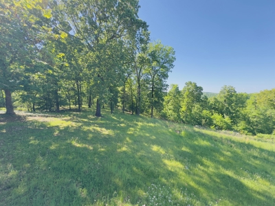 Ozark Mountains Land And Home For Sale In Arkansas - image 23