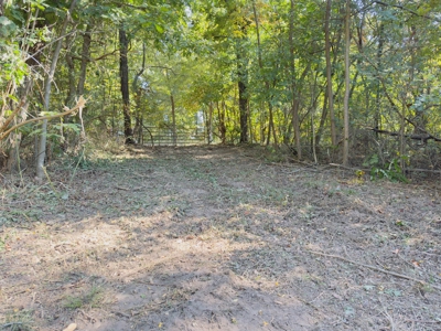 Ozark Mountains Land And Home For Sale In Arkansas - image 14