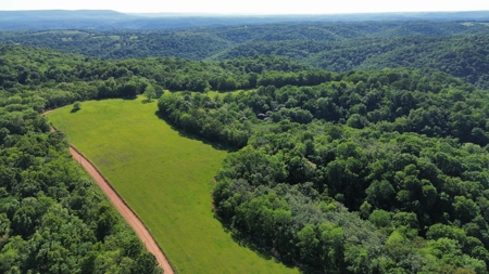 Ozark Mountains Land And Home For Sale In Arkansas - image 4