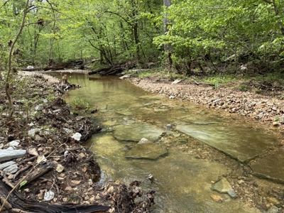 Ozark Mountains Land And Home For Sale In Arkansas - image 48