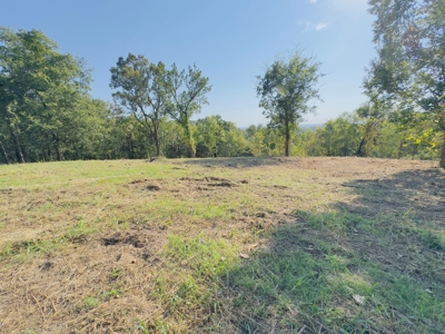 Ozark Mountains Land And Home For Sale In Arkansas - image 17