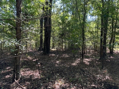 145 Acres Jefferson County Hunting Land Timber Investment - image 1