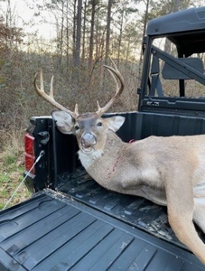 145 Acres Jefferson County Hunting Land Timber Investment - image 19