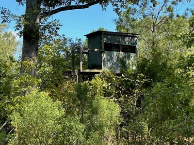 145 Acres Jefferson County Hunting Land Timber Investment - image 10