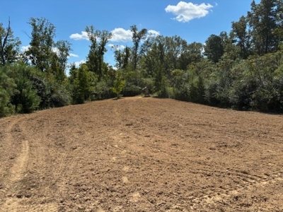 145 Acres Jefferson County Hunting Land Timber Investment - image 8