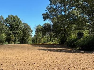 145 Acres Jefferson County Hunting Land Timber Investment - image 5