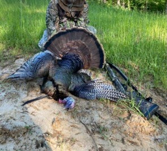 145 Acres Jefferson County Hunting Land Timber Investment - image 17