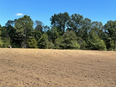 145 Acres Jefferson County Hunting Land Timber Investment - image 6