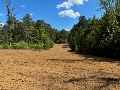145 Acres Jefferson County Hunting Land Timber Investment - image 9