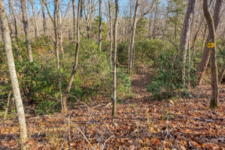 12.57 ACRES of Land in Gaston County NC - image 10