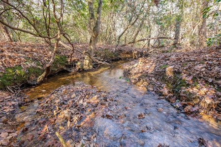 12.57 ACRES of Land in Gaston County NC - image 11