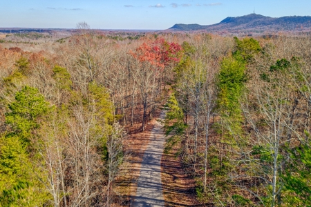 12.57 ACRES of Land in Gaston County NC - image 15