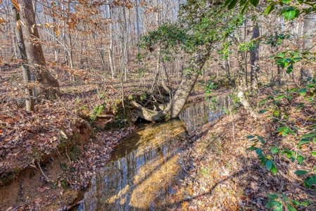 12.57 ACRES of Land in Gaston County NC - image 12