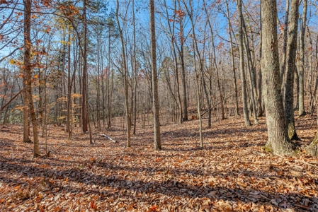 12.57 ACRES of Land in Gaston County NC - image 7