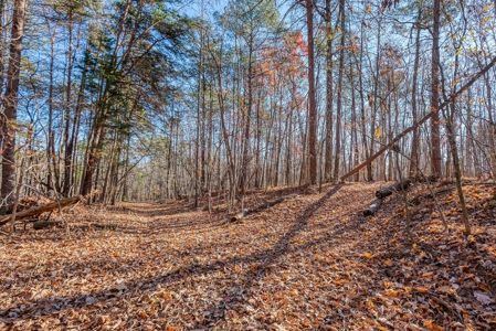 12.57 ACRES of Land in Gaston County NC - image 5