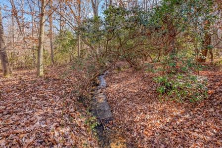 12.57 ACRES of Land in Gaston County NC - image 13