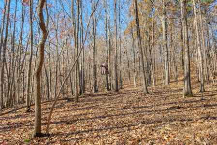 12.57 ACRES of Land in Gaston County NC - image 6