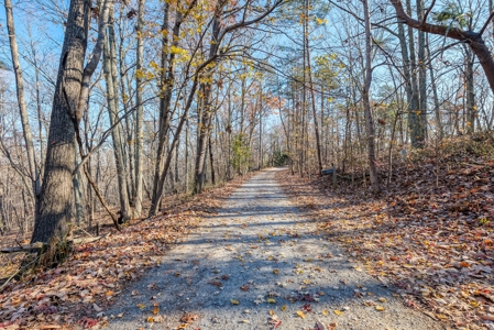 12.57 ACRES of Land in Gaston County NC - image 2