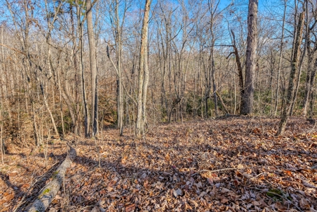 12.57 ACRES of Land in Gaston County NC - image 9