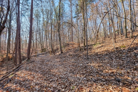 12.57 ACRES of Land in Gaston County NC - image 4
