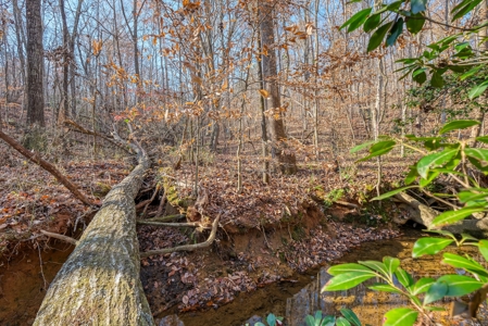12.57 ACRES of Land in Gaston County NC - image 14