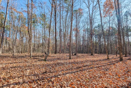 12.57 ACRES of Land in Gaston County NC - image 8