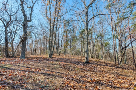 12.57 ACRES of Land in Gaston County NC - image 3