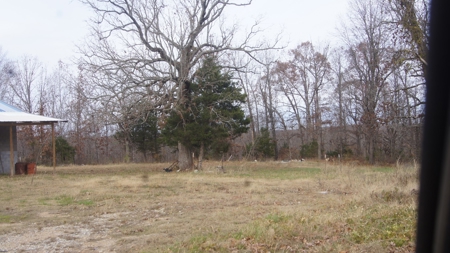 Commercial Building And Land In Arkansas - image 5