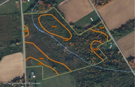 Hunting Acreage For Sale via Online Auction in Oneida County - image 1