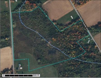 Hunting Acreage For Sale via Online Auction in Oneida County - image 2