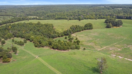 Cattle Pasture Land For Sale Howell County Southern Missouri - image 11