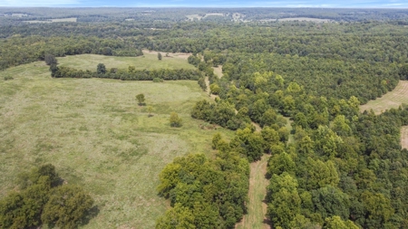 Cattle Pasture Land For Sale Howell County Southern Missouri - image 12